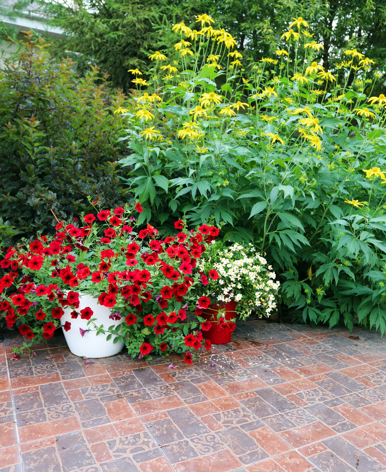 Коттеджный сад