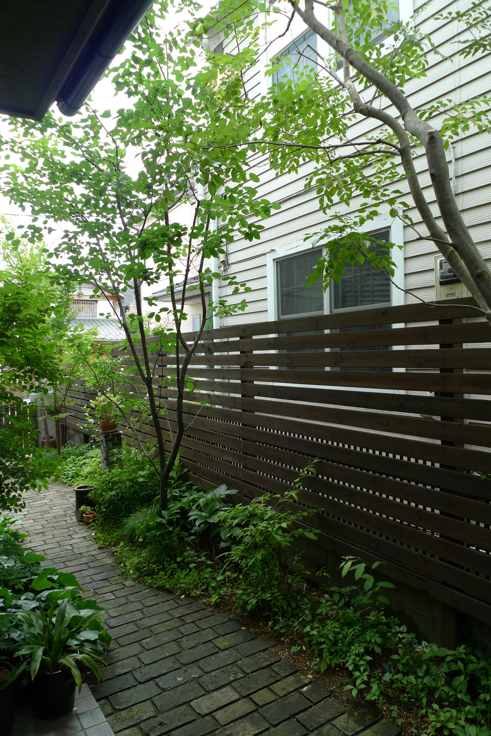 国立の庭 Other By ミドリノトリ Landscape Design Houzz