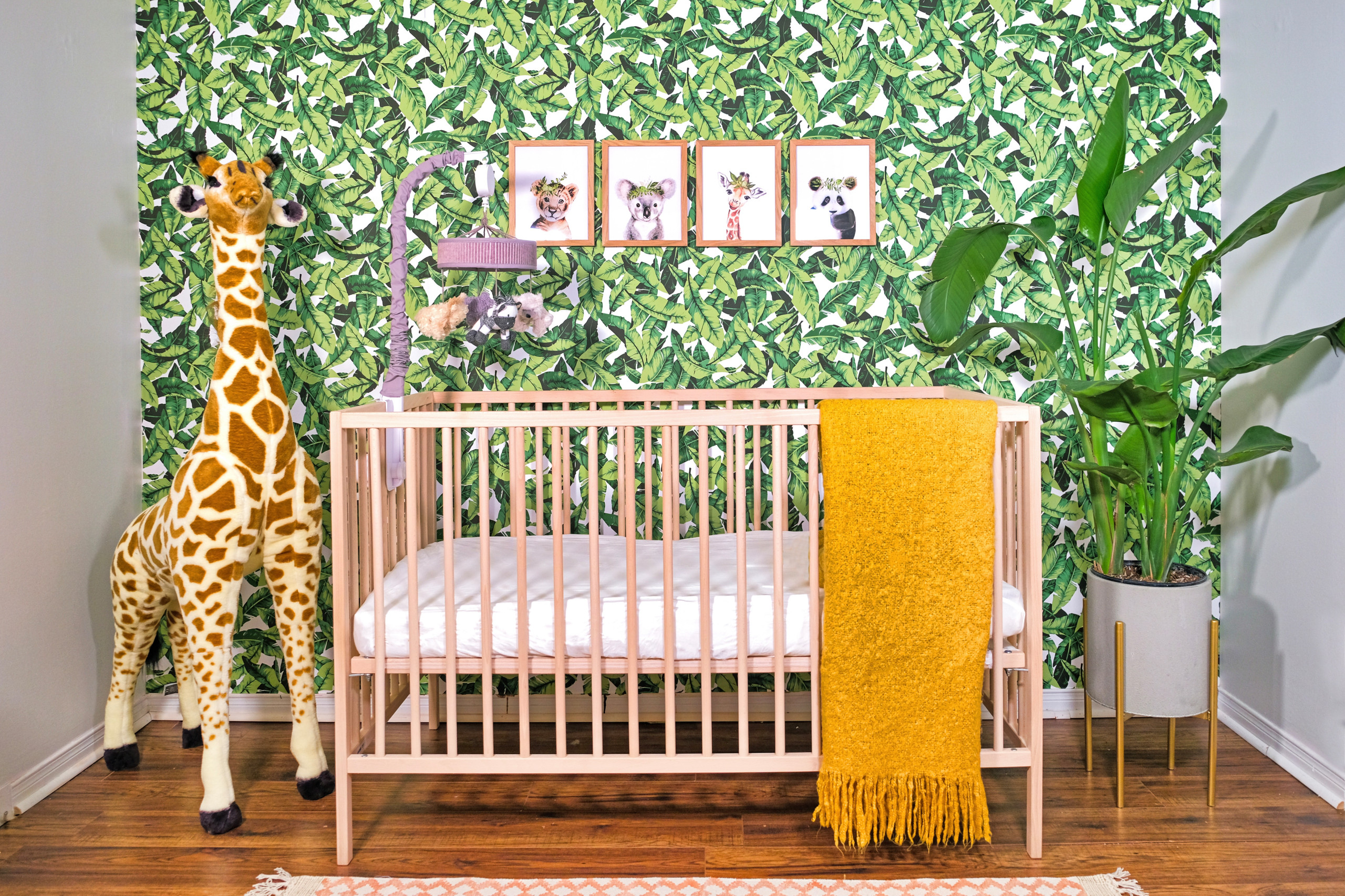 Jungle Themed Nursery