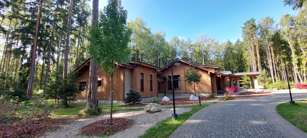 Гармония леса