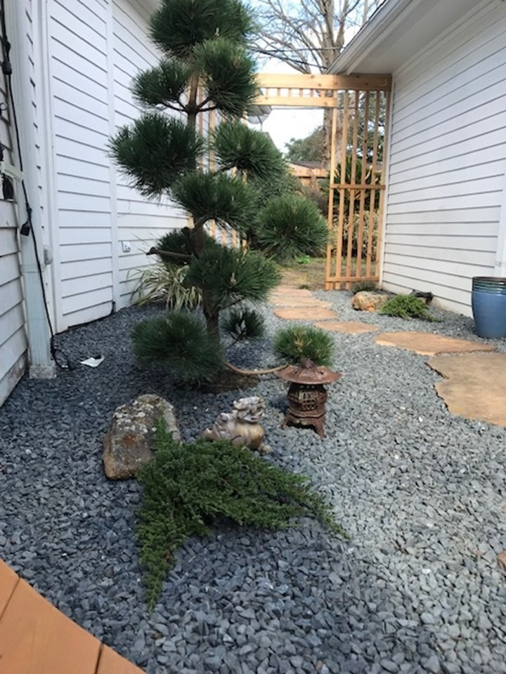Meyerland Zen garden with deck