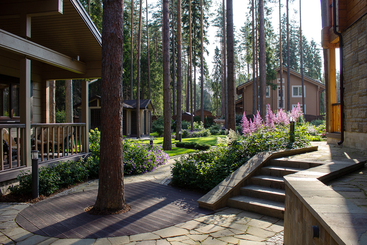 Еловая аллея