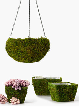 Moss Hanging Basket & Square Moss Pots | JamaliGarden