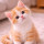 Last commented by pixora pixora