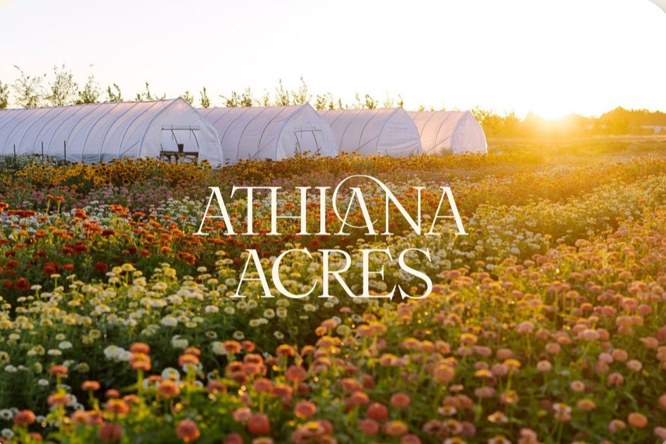 Athiana Acres:  An organic Regenerative Farm