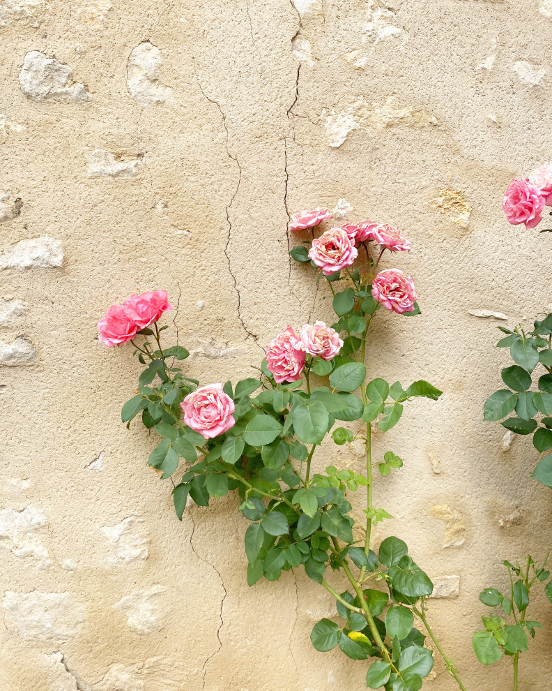 Château Rejuvenation | Saint-Gaultier, France | Simple Vintage & Restoration
