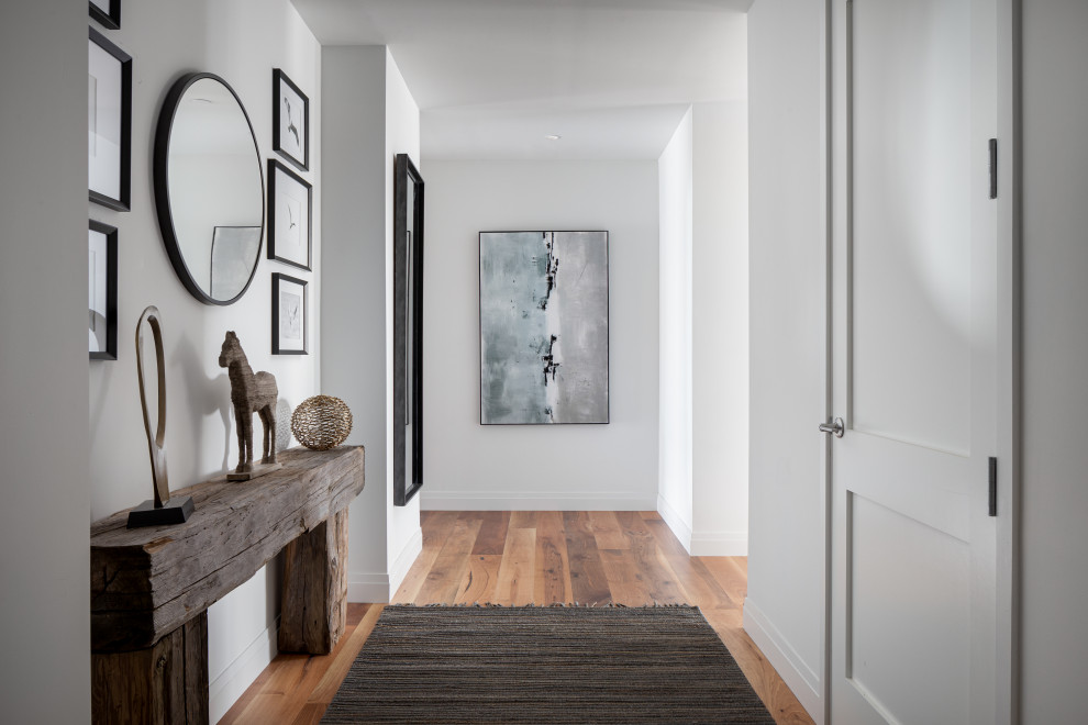 Design ideas for a mid-sized contemporary hallway in Providence with white walls, medium hardwood floors and brown floor.