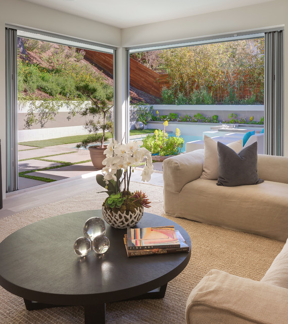 Living Rooms trendy-dagligstue