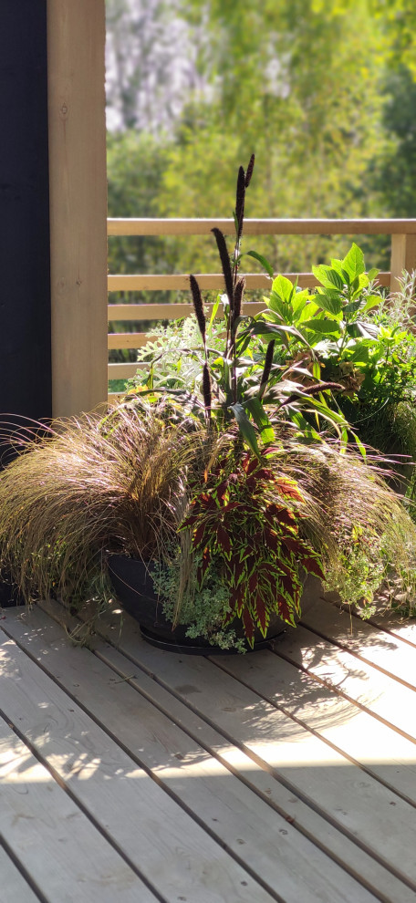 Проект " В тонких линиях "