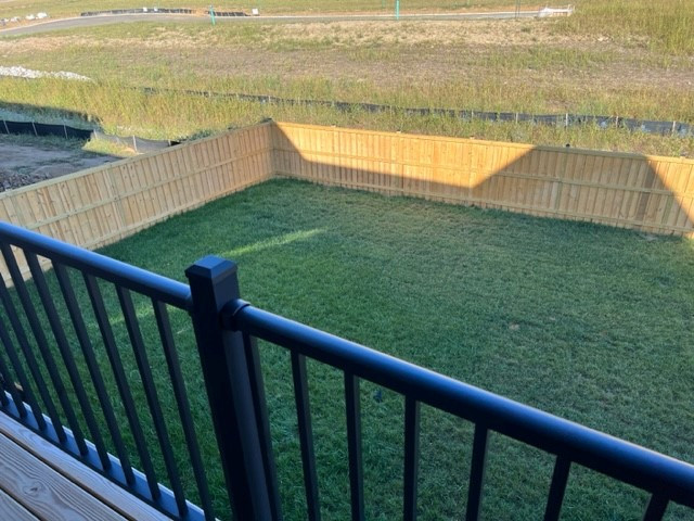 Backyard before 