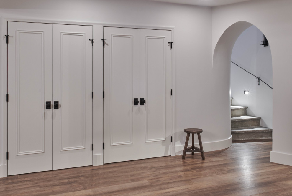 Basement - transitional basement idea