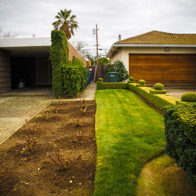 property line landscape ideas