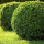 Porter Lawn Care & Landscaping