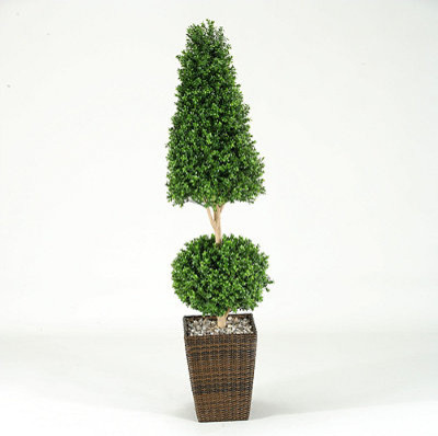 Ball And Cone Boxwood Topiary