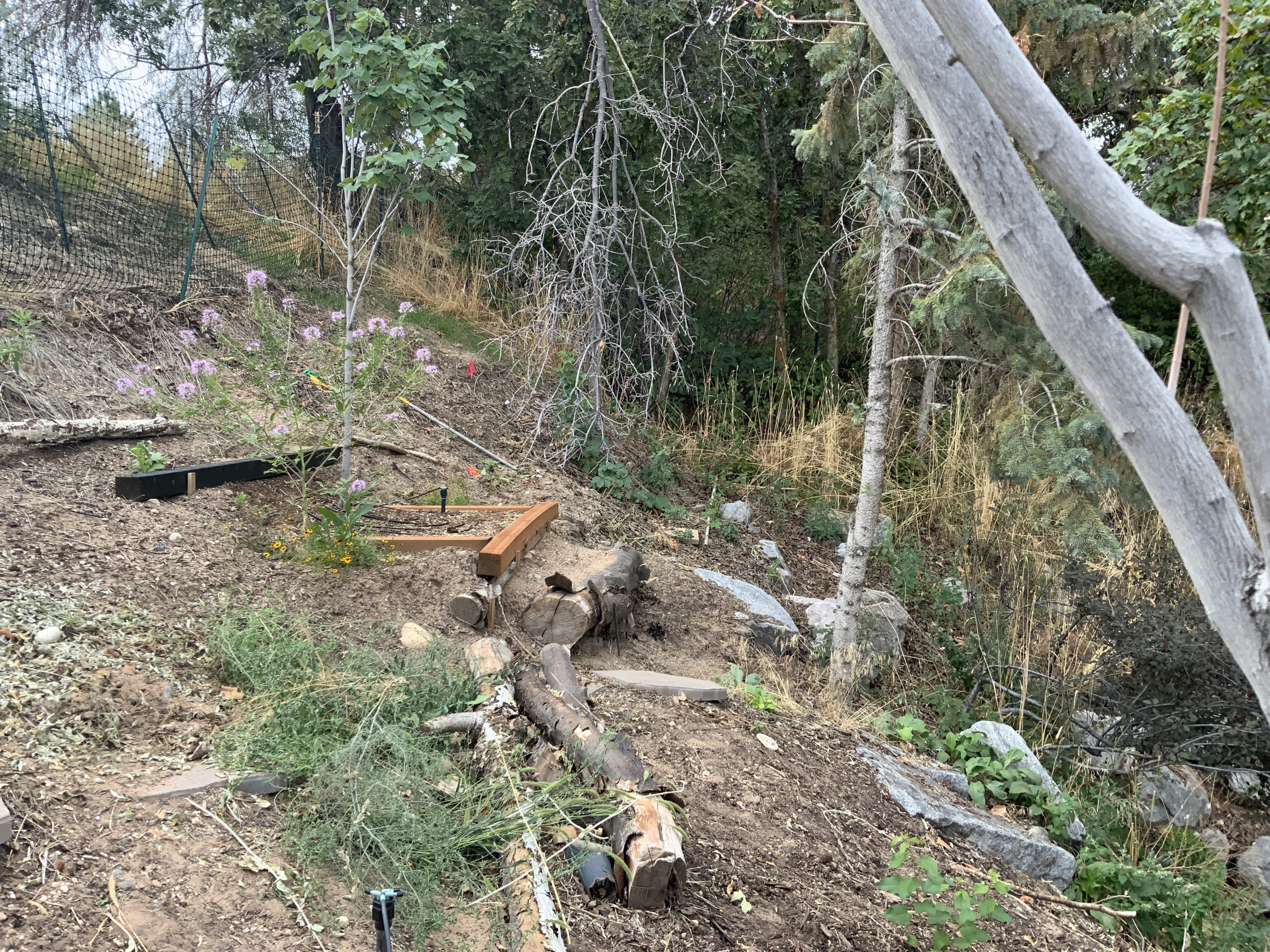 Natural Rock Garden