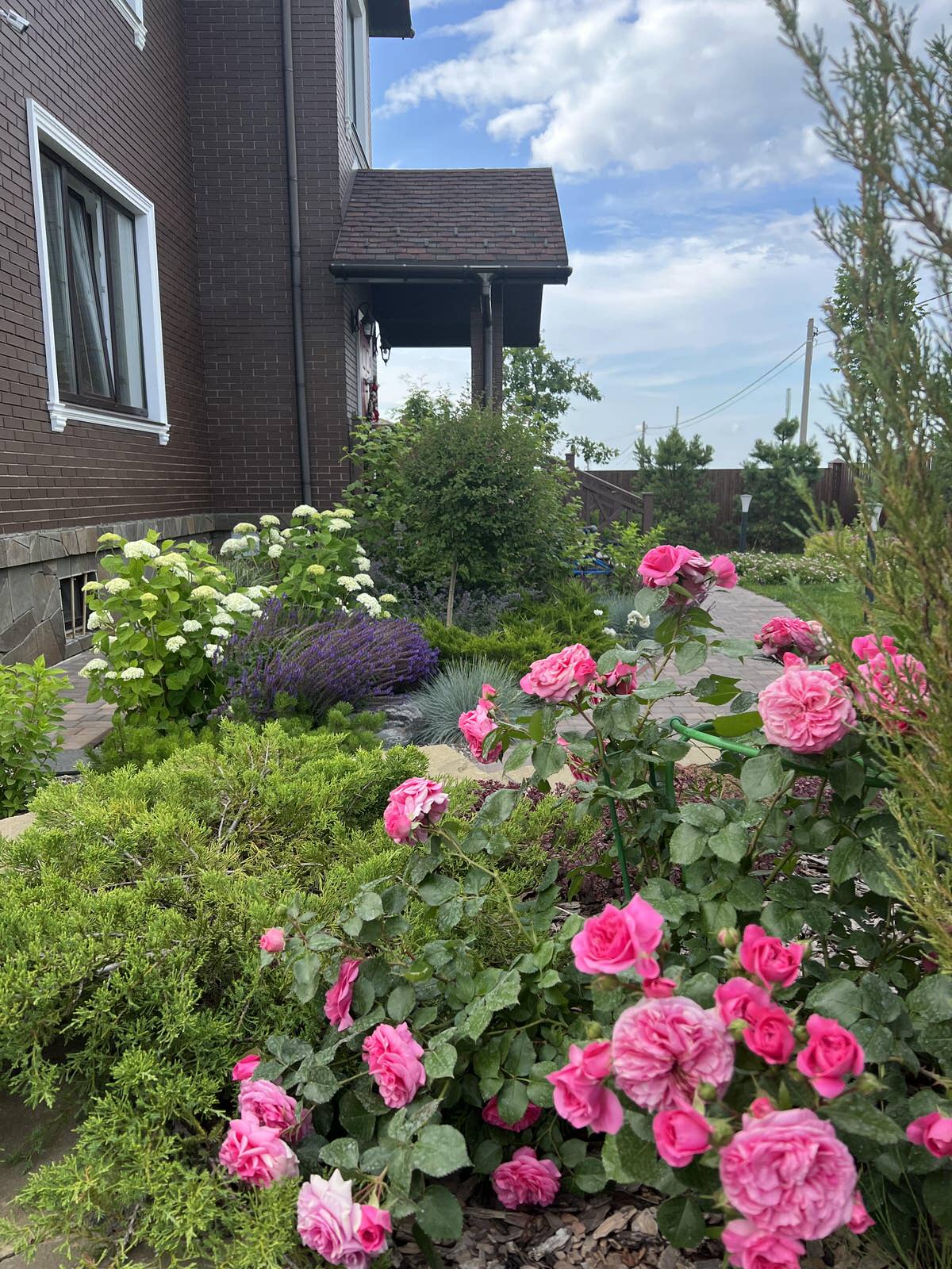 Сад для друга