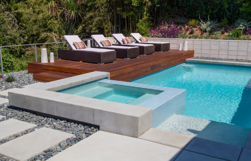 Inspiration for a mid-sized contemporary backyard garden in Los Angeles.