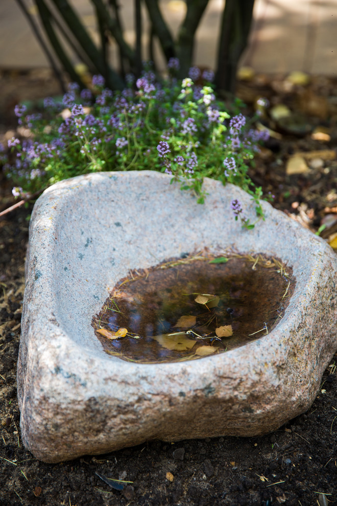 Сад Прометей - Сад, пробуждающий чувства -  The Garden that awakens feelings