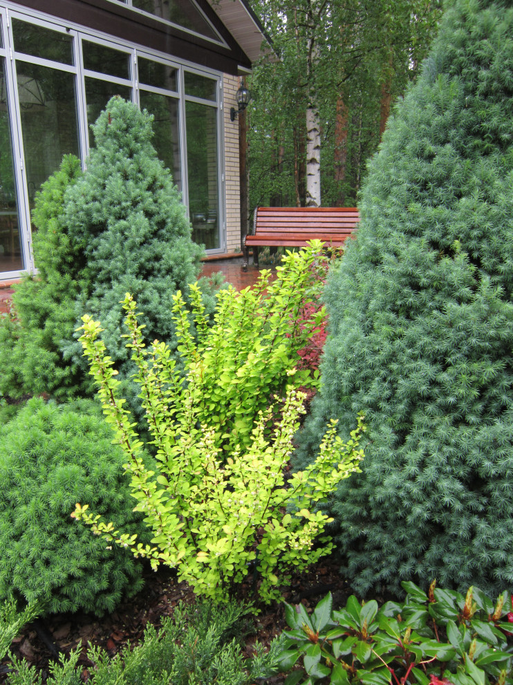 Кузьмолово