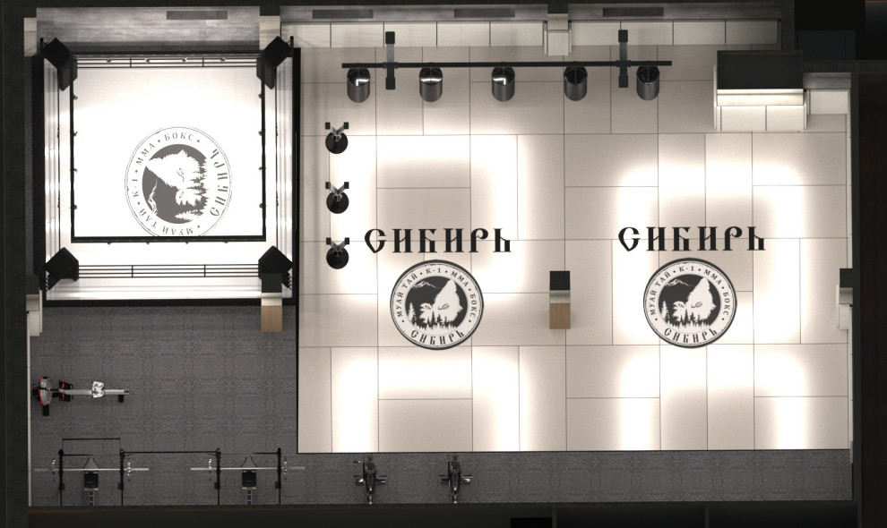 Дизайн проект спортивного клуба "Сибирь"