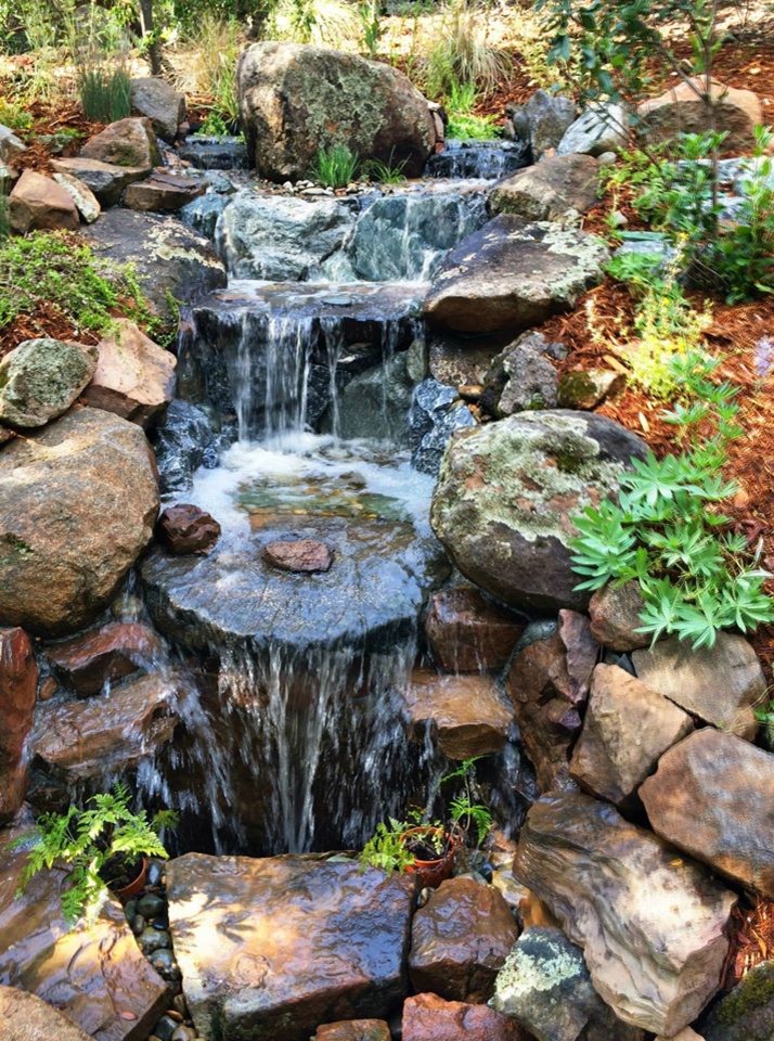 Design ideas for a mid-sized country sloped partial sun garden for spring in Sacramento with a water feature and mulch.