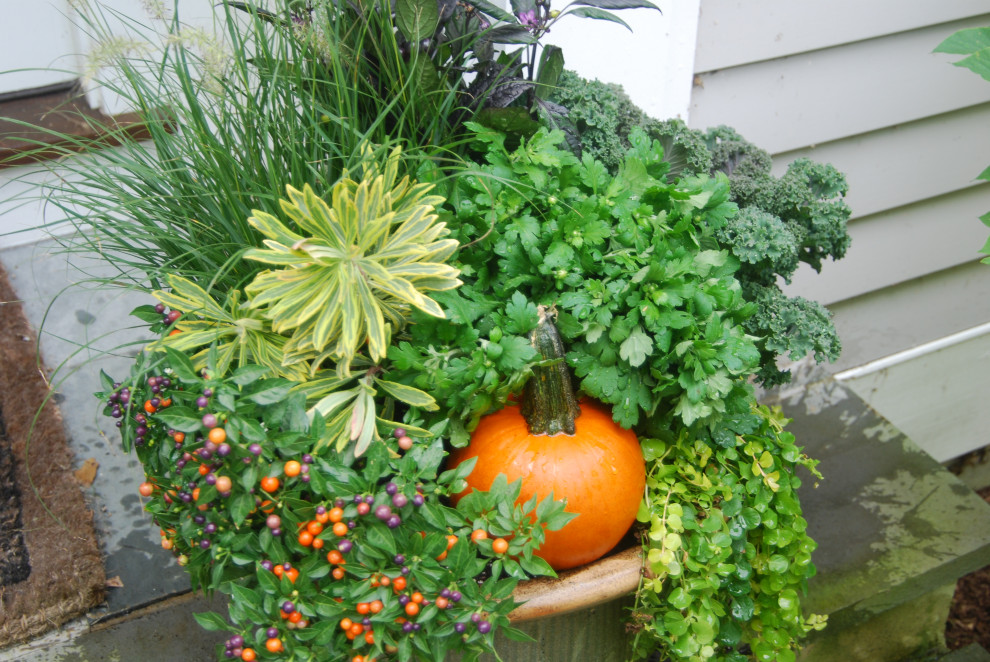 Свежая идея для дизайна: маленькая веранда на переднем дворе в классическом стиле с растениями в контейнерах для на участке и в саду - отличное фото интерьера