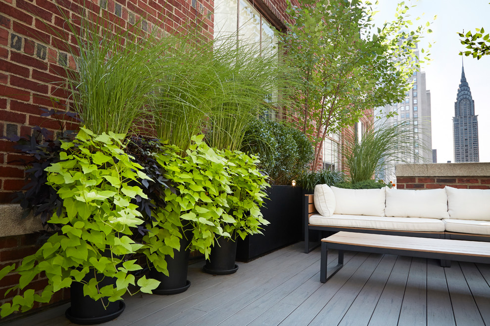 Inspiration for a small traditional rooftop deck in New York with a container garden and an awning.