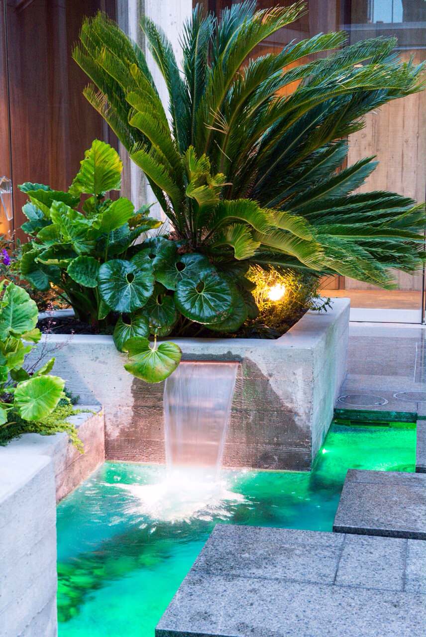 Tropical Modern Landscape