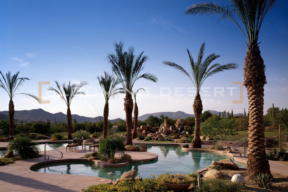Pool - pool idea in Phoenix