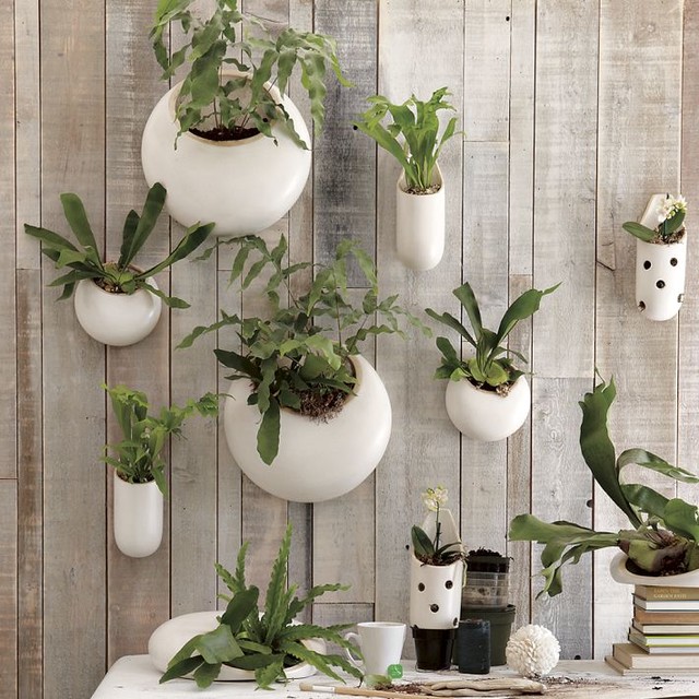 Shane Powers Ceramic Wall Planters