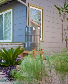 Rain Barrel by Green Water