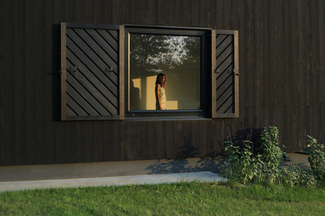 Black lodge and a walnut tree contemporary-exterior