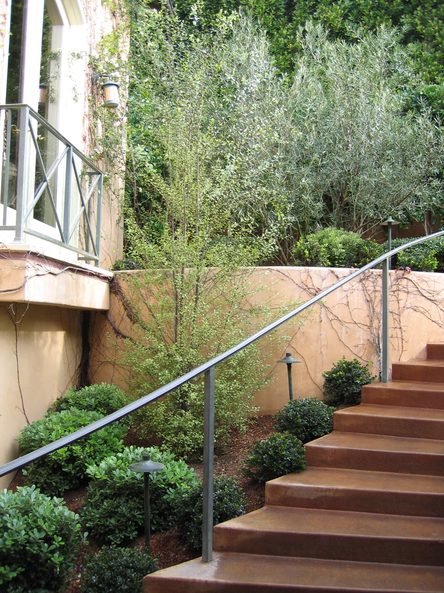 Garden along stairway