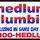 Hedlund Plumbing