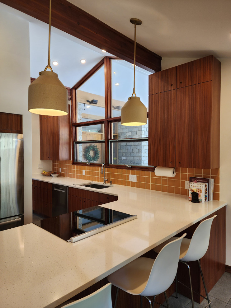 6360 Mid-Century Modernized