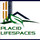 Placid Lifespaces India P Limited