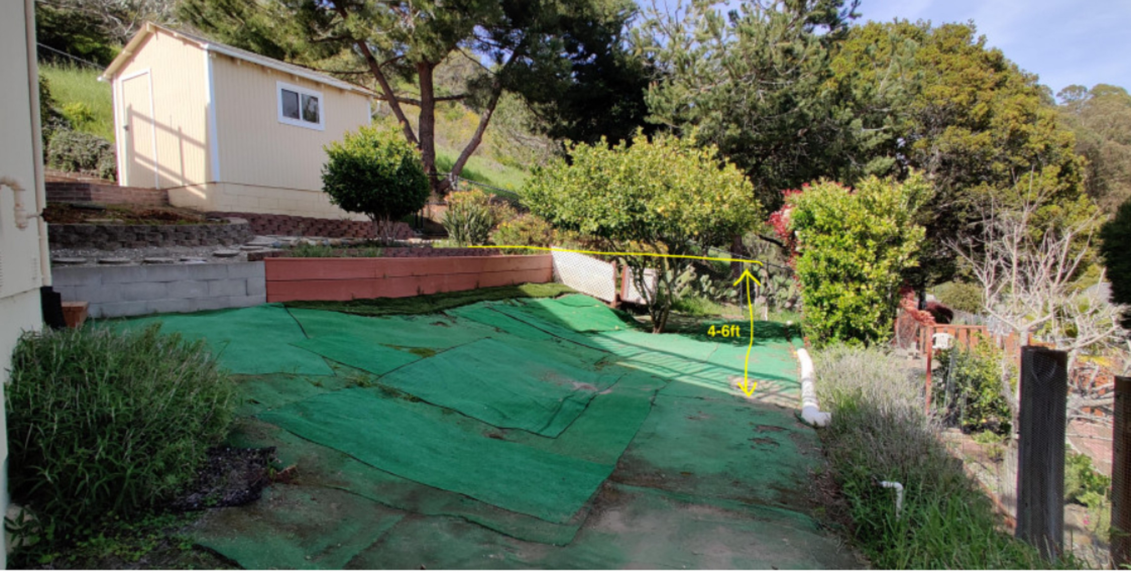 Creating Curb Appeal