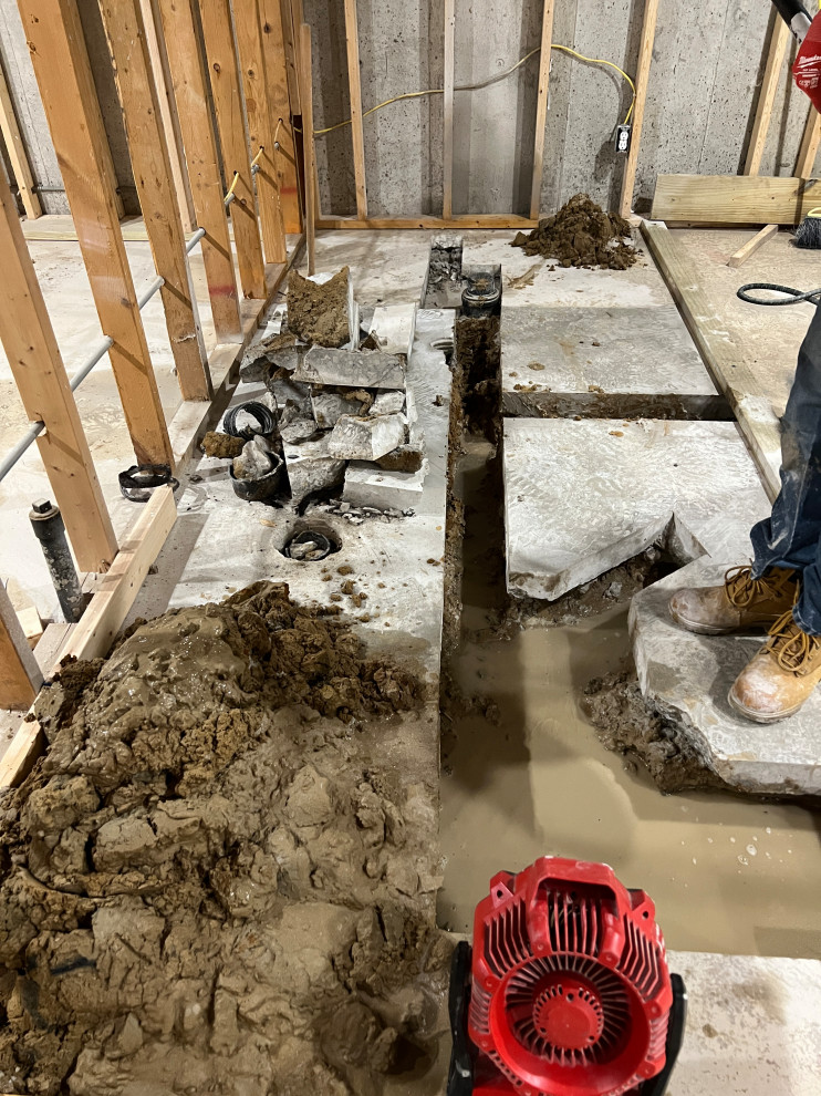 Crown Point Basement Remodel