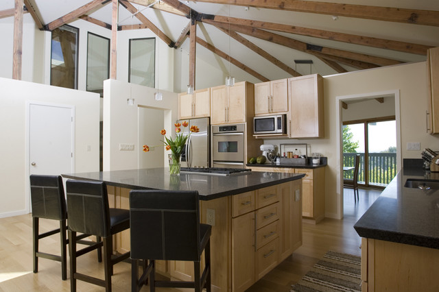 work contemporary-kitchen