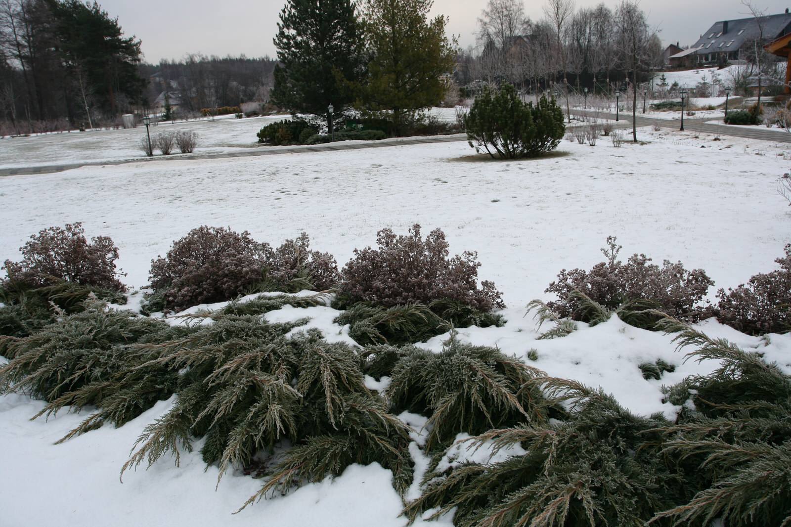 Репинские Усадьбы