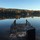 andrea_studlik