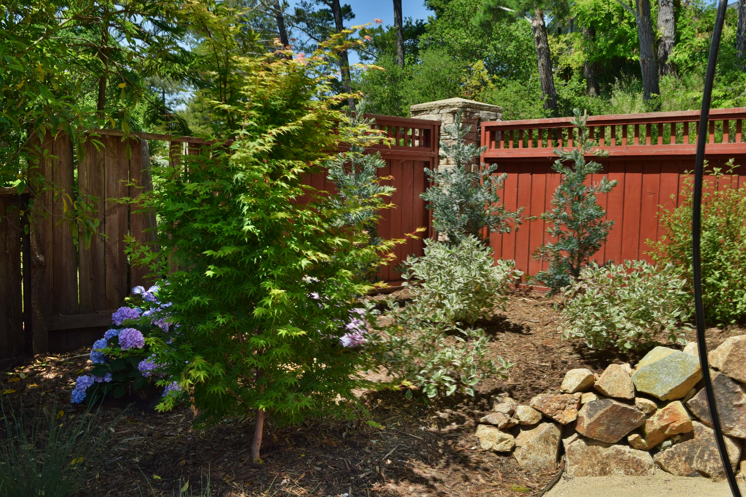 Spacious Garden with patio and lawn