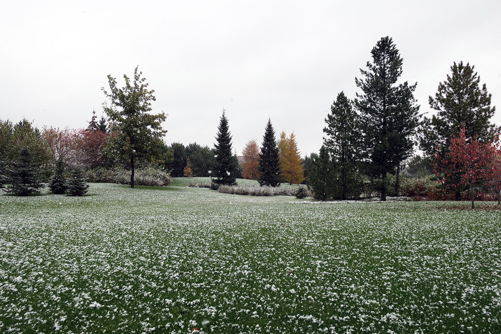 Новый пейзаж