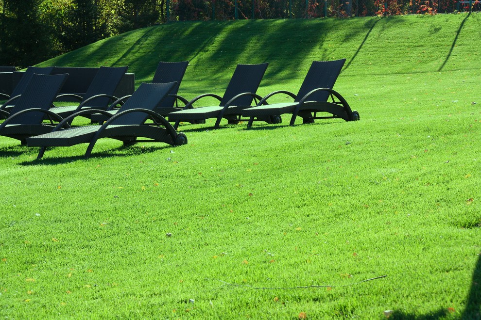 Газон Канада Грин Универсальный