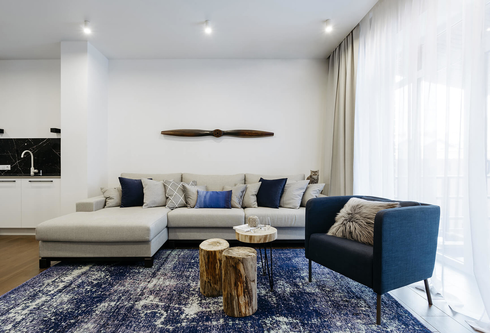 Танухаус в современном стиле