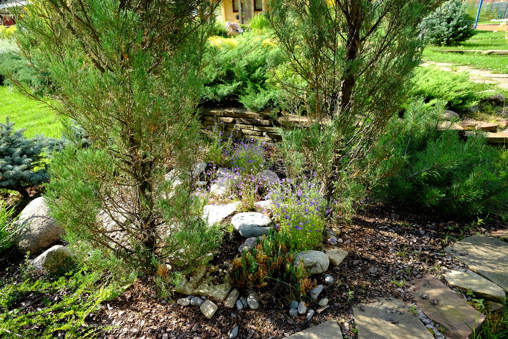 Зеркальный Ландшафтное проектирование