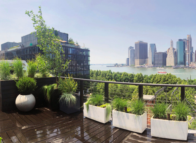 BROOKLYN HAS THE BEST ROOFTOP GARDEN VIEWS! contemporary-garden