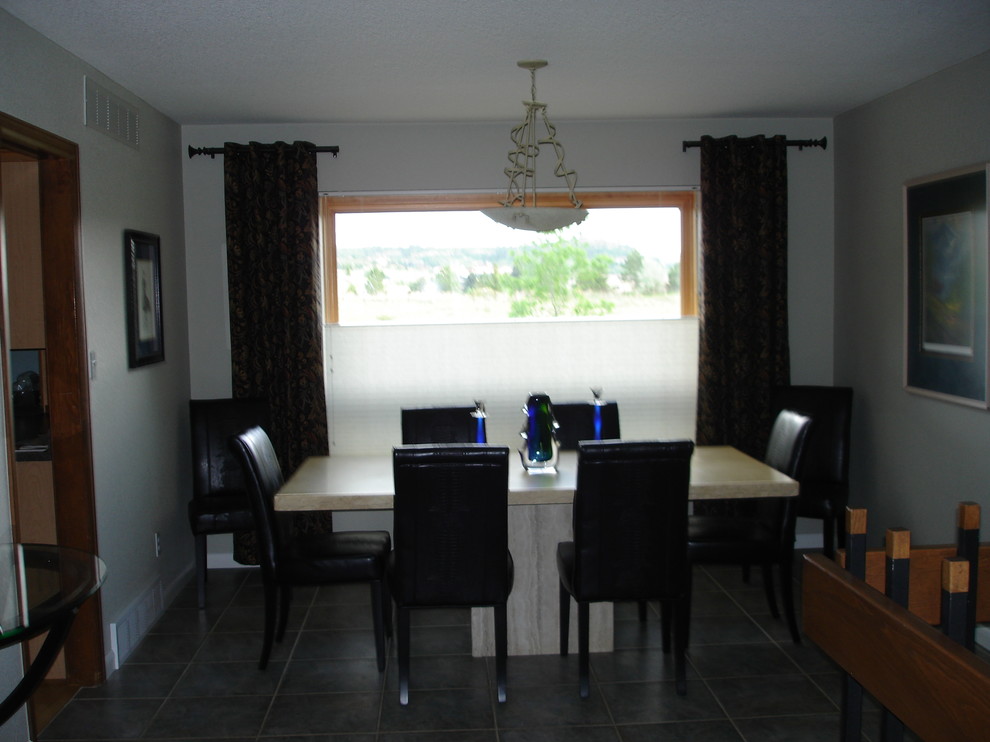 Inspiration for a contemporary dining room remodel in Denver