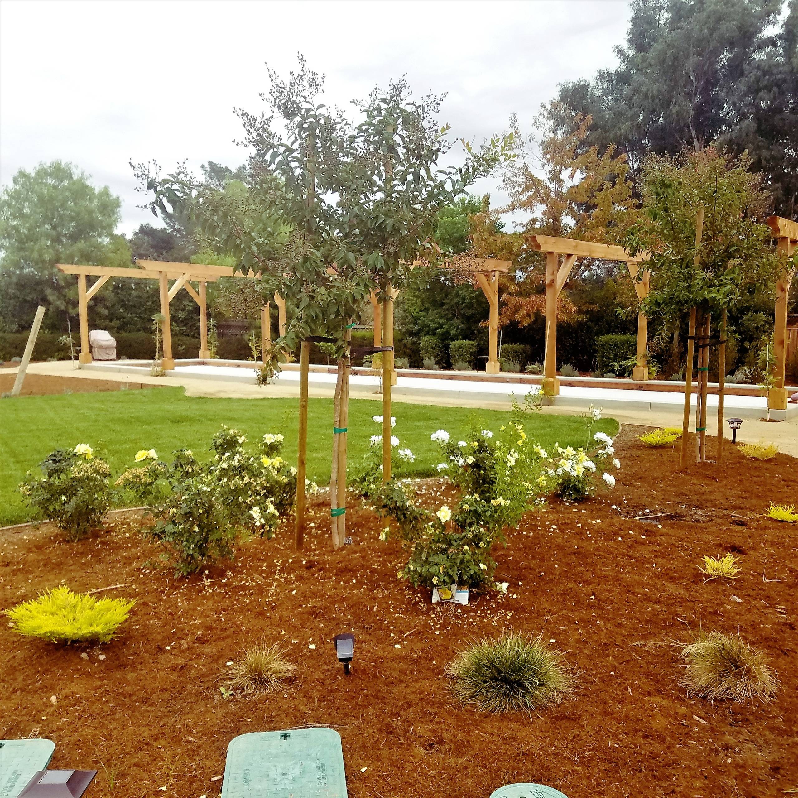 The Modern Oasis