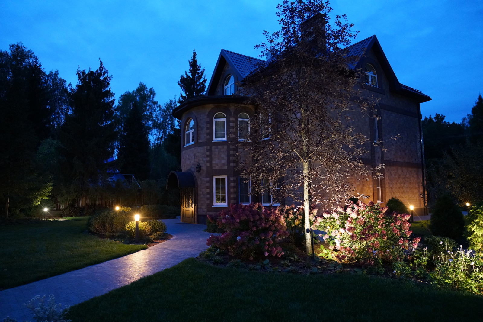 Круговорот  цвета. Дубровка 2021